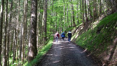 Caminar, una cura milagrosa para cuerpo y alma