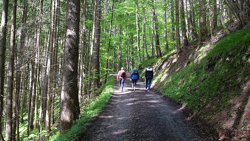 La noche tem�tica - Caminar, una cura milagrosa para cuerpo y alma - Documental en RTVE - La noche tem�tica | Ver documental