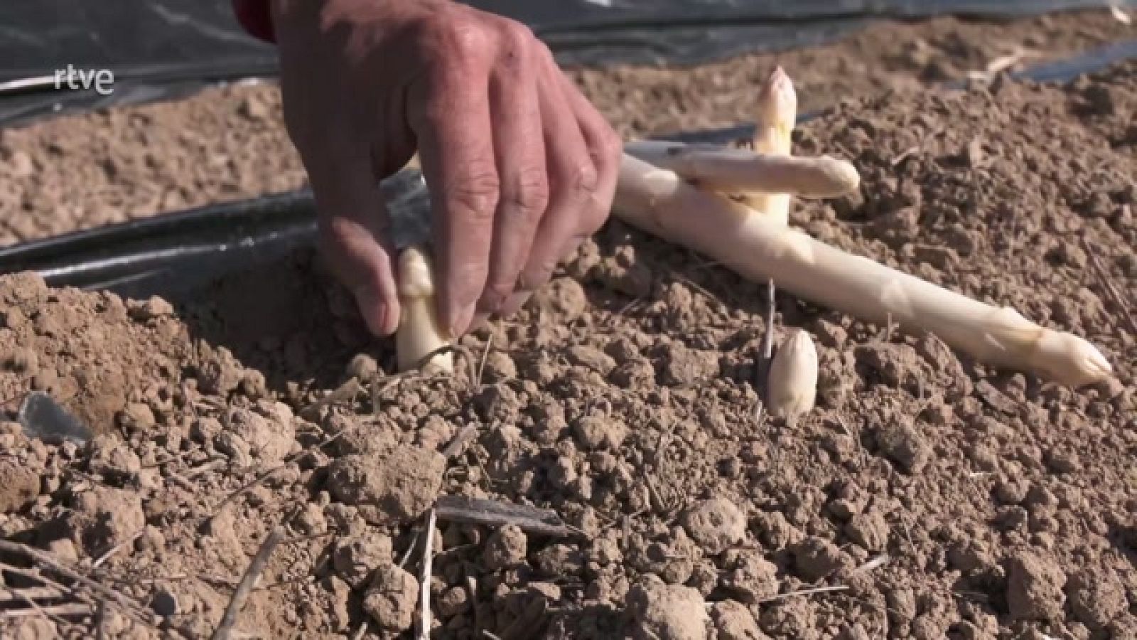 Aquí la Tierra - 16/06/23 - ver ahora