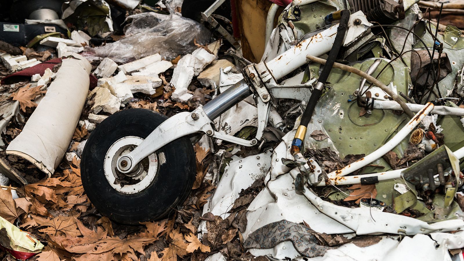 Informe Semanal - Milagro en la selva - ver ahora