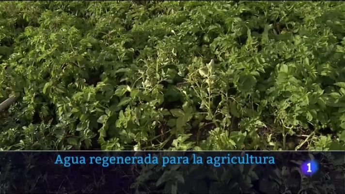 Telecanarias - Telecanarias - 18/06/2023