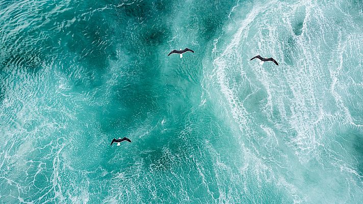 Hablando claro - ¿Cómo nos afecta la temperatura del agua del mar?