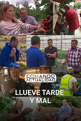 Comando Actualidad - Llueve tarde y mal