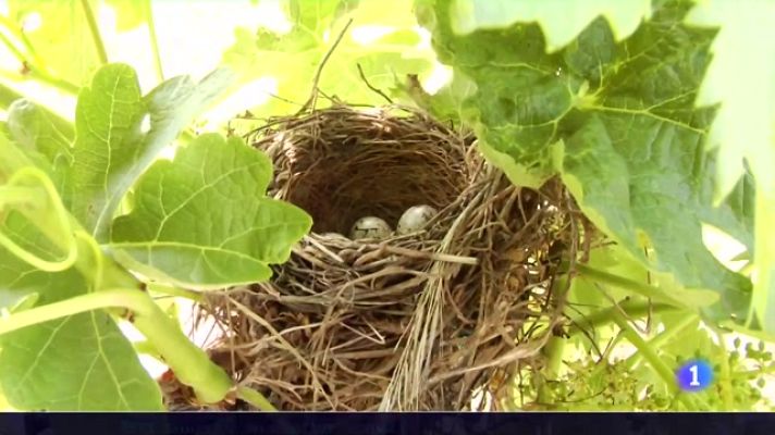 Informativo Telerioja - Informativo Telerioja  - 20/06/23