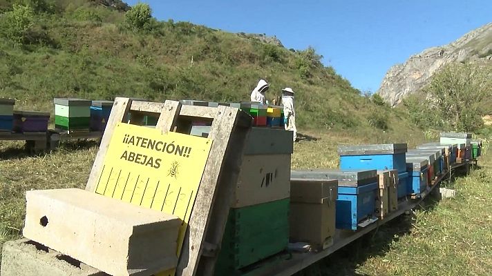 Comando Actualidad - Únicos en el mundo