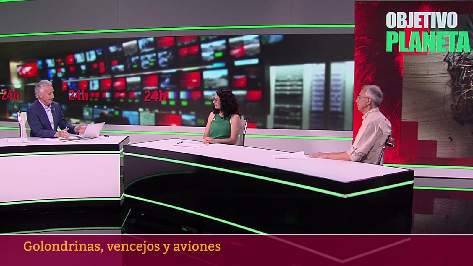 Objetivo Planeta - Golondrinas, vencejos y aviones - ver ahora