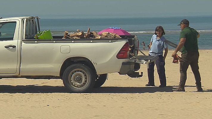 Noticias Andalucía - Noche de San Juan