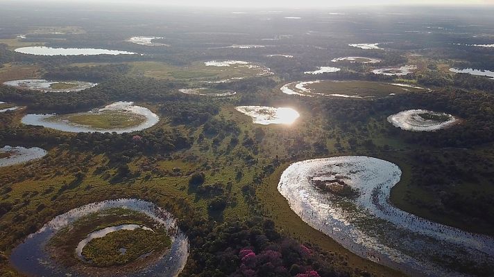 Somos Documentales - El pantanal. El milagro natural de Brasil