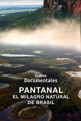 Somos Documentales - El pantanal. El milagro natural de Brasil
