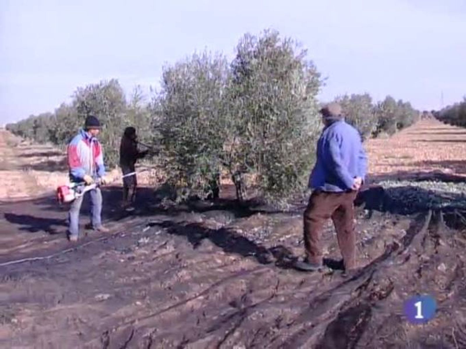 Noticias de Castilla La Mancha. Informativo de Castilla La Mancha. (12/02/10).