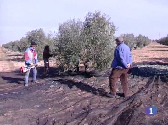 Noticias de Castilla-La Mancha - Noticias de Castilla-La Mancha - 12/02/10