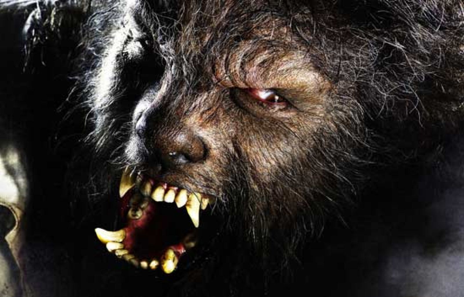 Días de cine - 'El hombre lobo', con Benicio del Toro | Ver