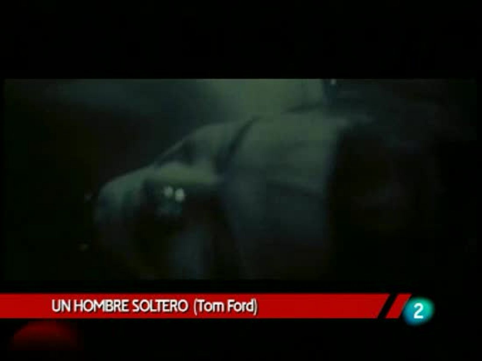 Días de cine - 'Un hombre soltero' | Ver