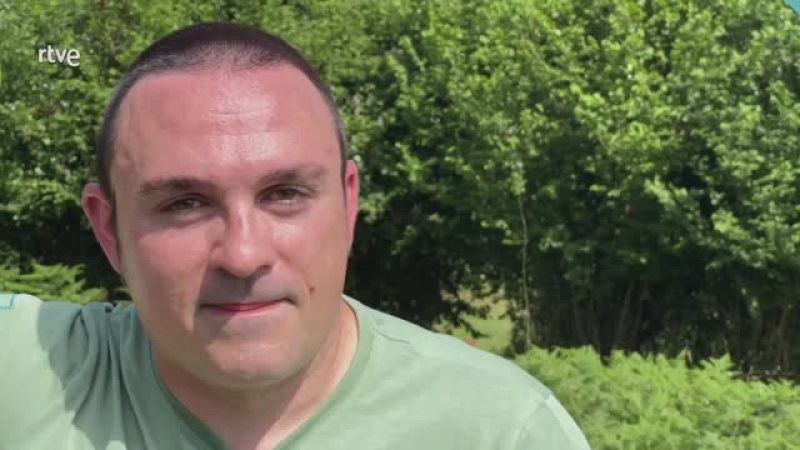 Va de Verd - Descobreix com podar una vinya amb facilitat