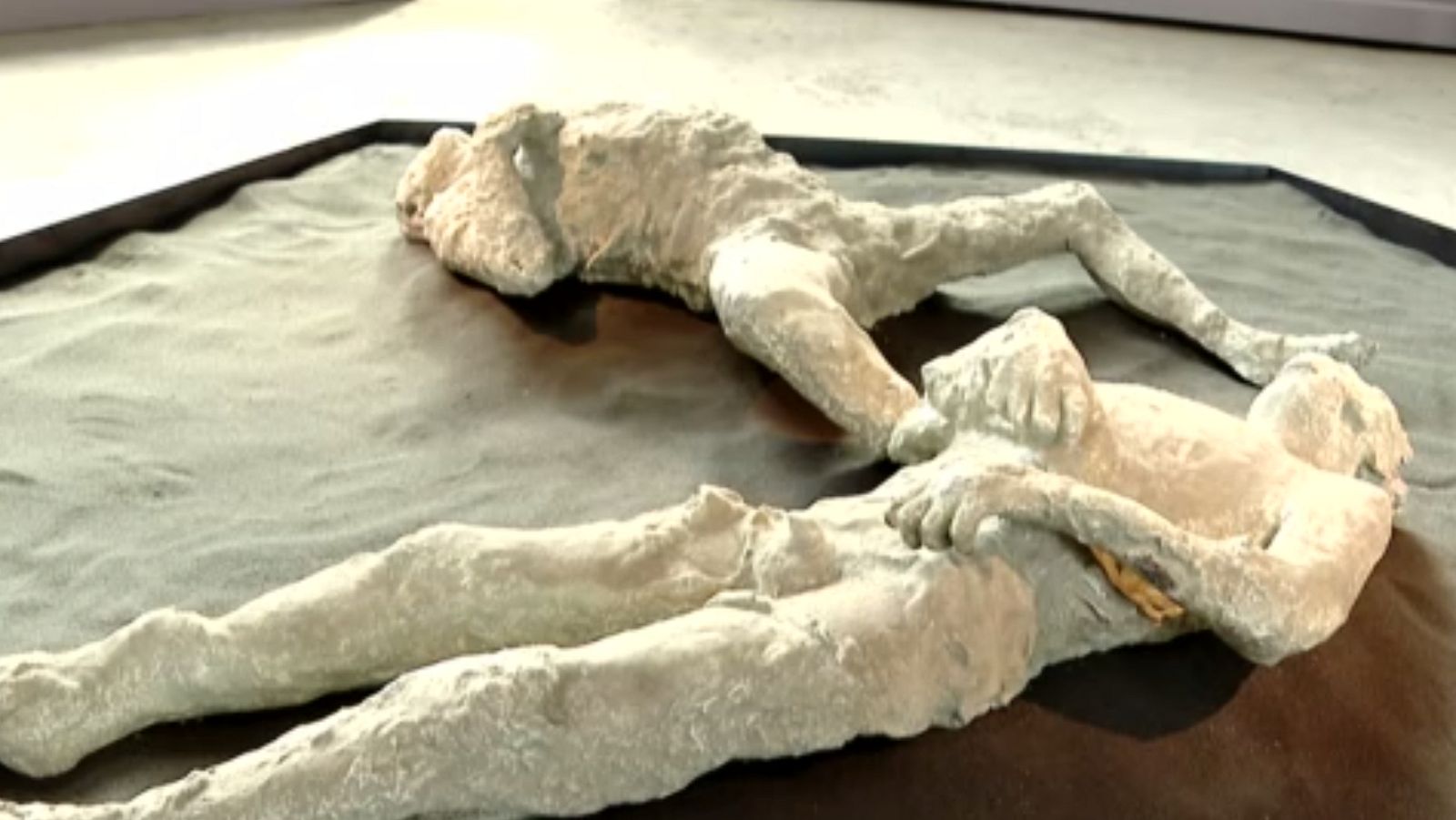 Momentos de Pompeya 'reviven' en Roma | Ver