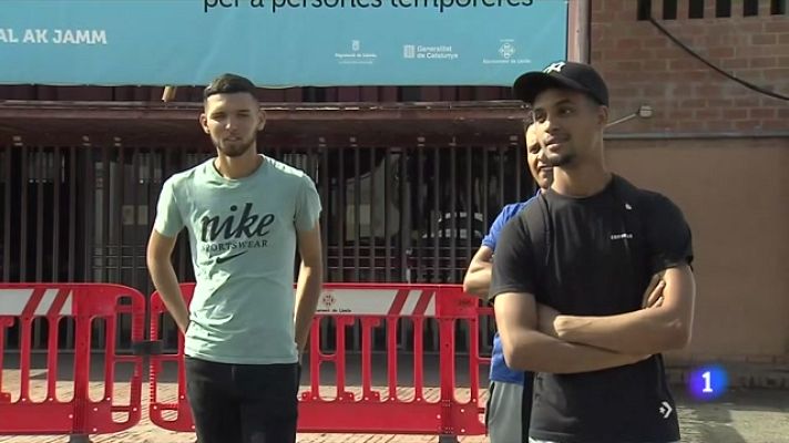 L'Informatiu - Falta mà d'obra en la recol·lecció de la fruita