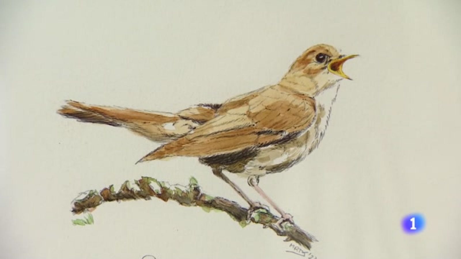 Informativo Telerioja  - 29/06/23 - Ver ahora