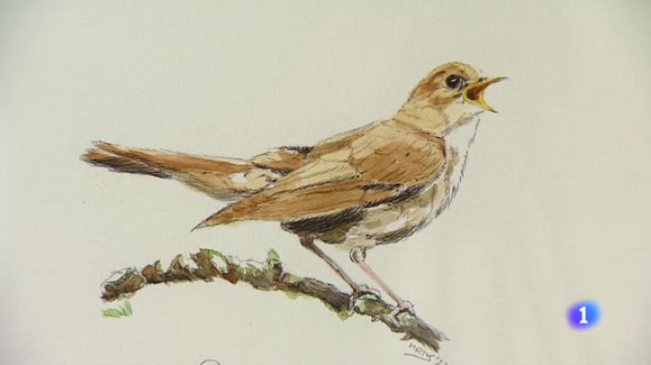 Informativo Telerioja - Informativo Telerioja  - 29/06/23