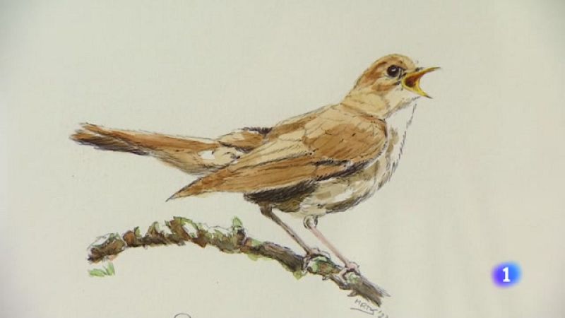 Informativo Telerioja  - 29/06/23 - Ver ahora