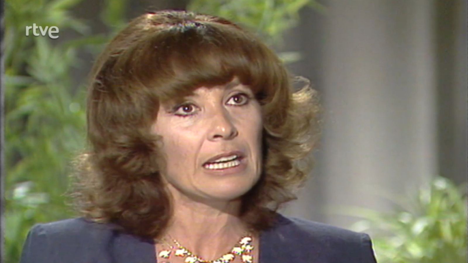 Vamos a ver - 23/08/1981