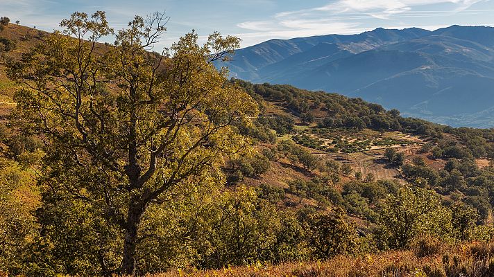Turismo rural en el mundo - Extremadura: Ambroz y Tierras de Granadilla