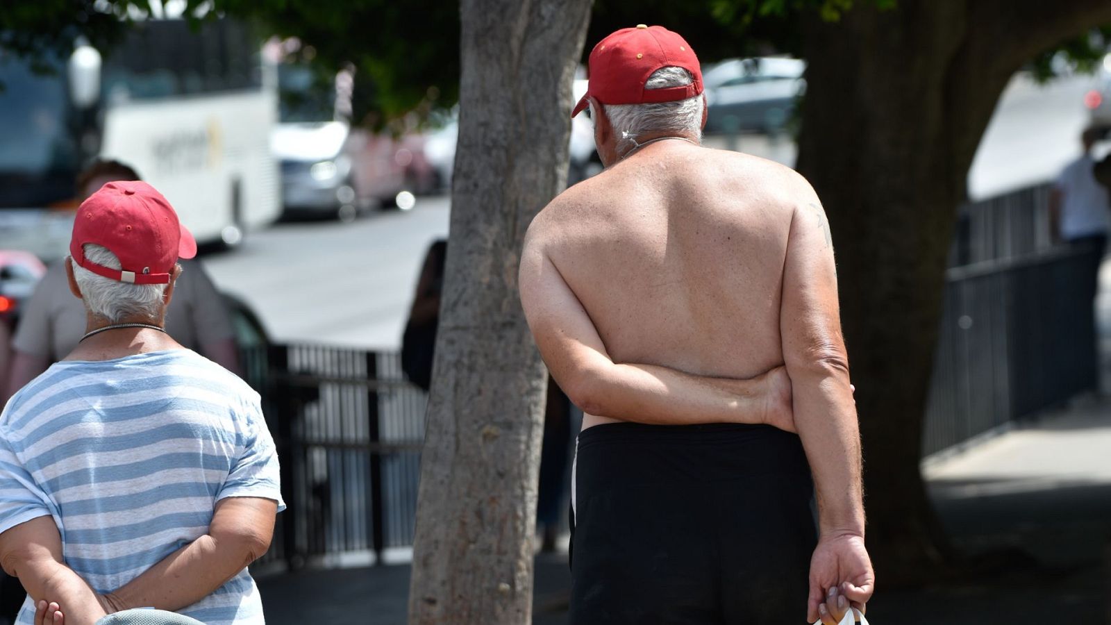 Sin camiseta por la calle ante el calor: puede ser perjudicial para la salud y el bolsillo - Ver ahora