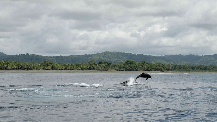 Españoles en el mundo - Costa Rica, pura vida
