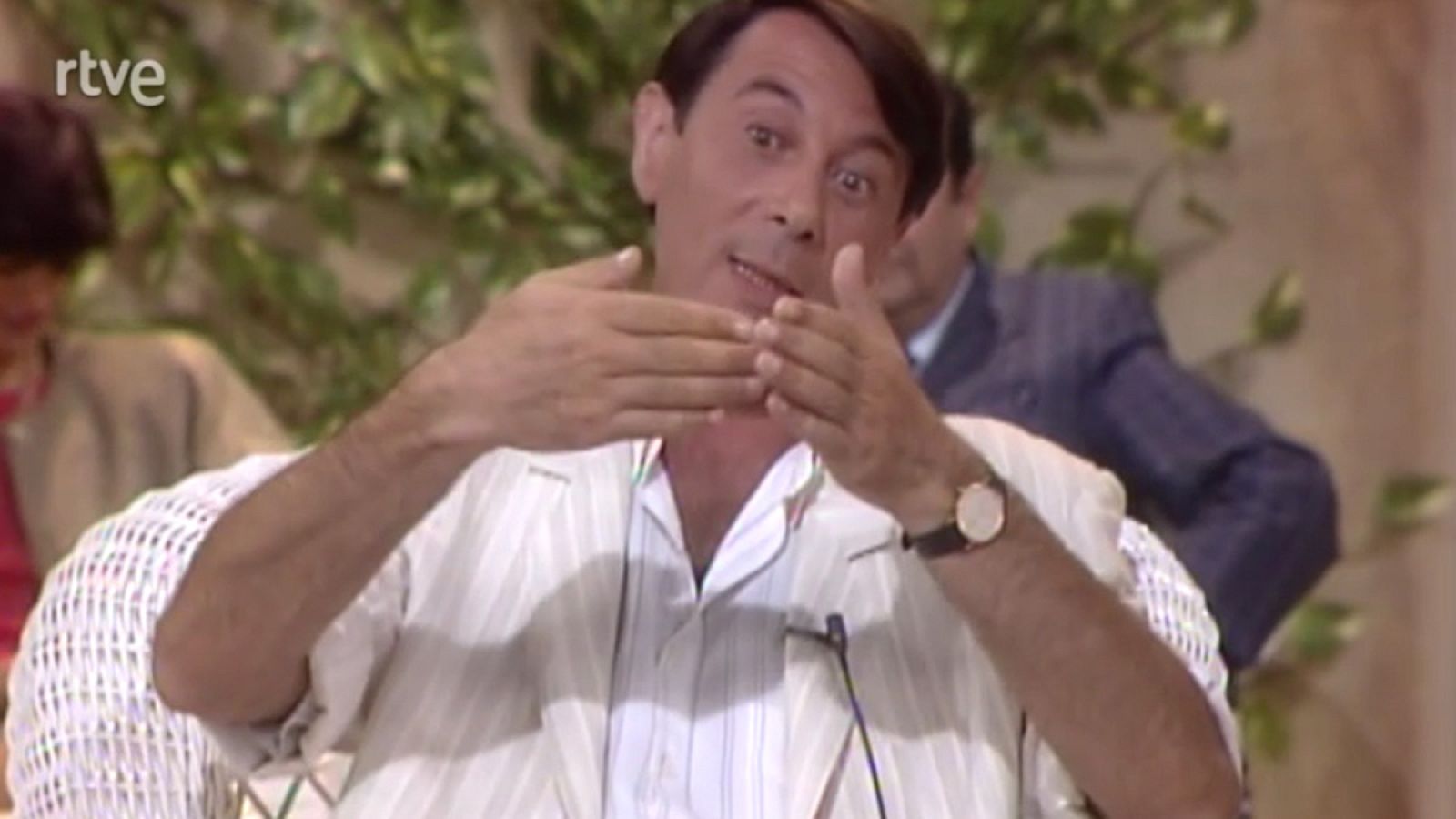 Un verano tal cual - 22/7/1988 - Un verano tal cual | Ver