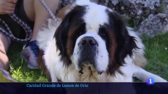 Informativo Telerioja - Telerioja en 2' - 03/07/23