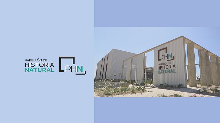 Noticias Andalucía - Abre el Museo de Historia Natural de Almería