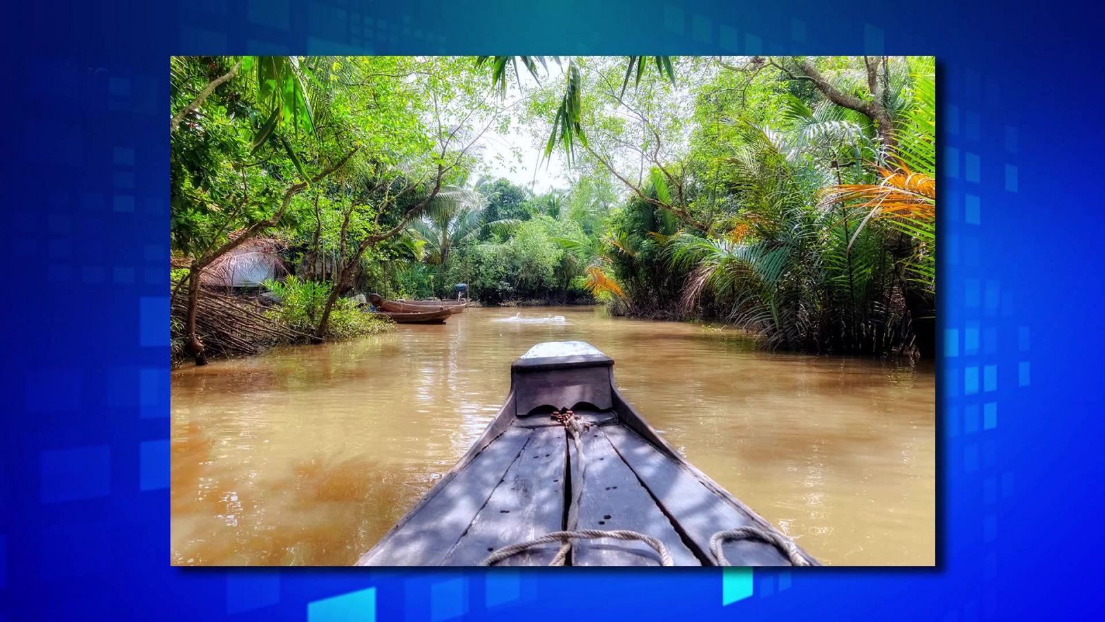 León. Auge y caída de la manada del pantano - Segunda parte - ver ahora
