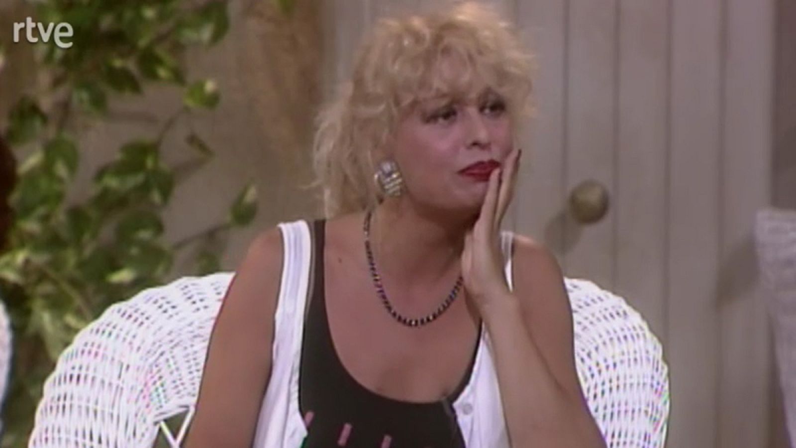 Un verano tal cual - 26/7/1988 - Un verano tal cual | Ver