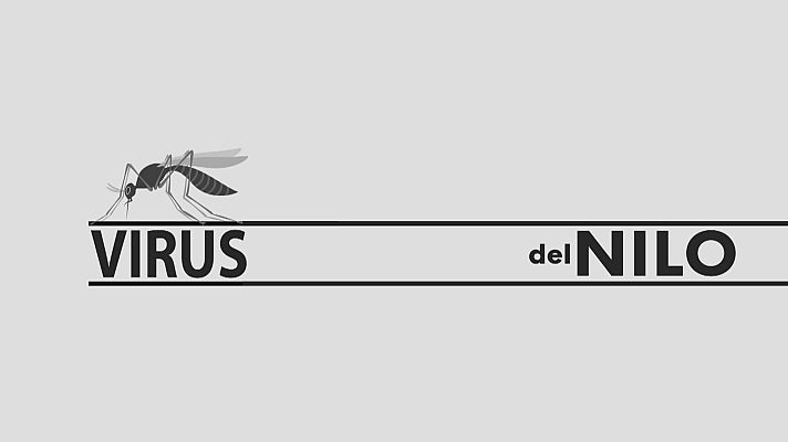 Noticias Andalucía - Virus del Nilo