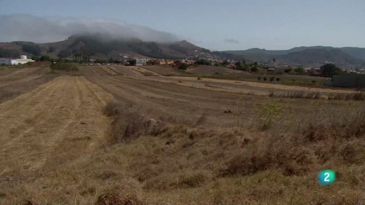 Telecanarias - Telecanarias 2 - 05/07/2023