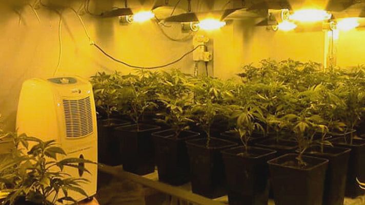 Noticias Andalucía - De enfriar marihuana a refrescar aulas