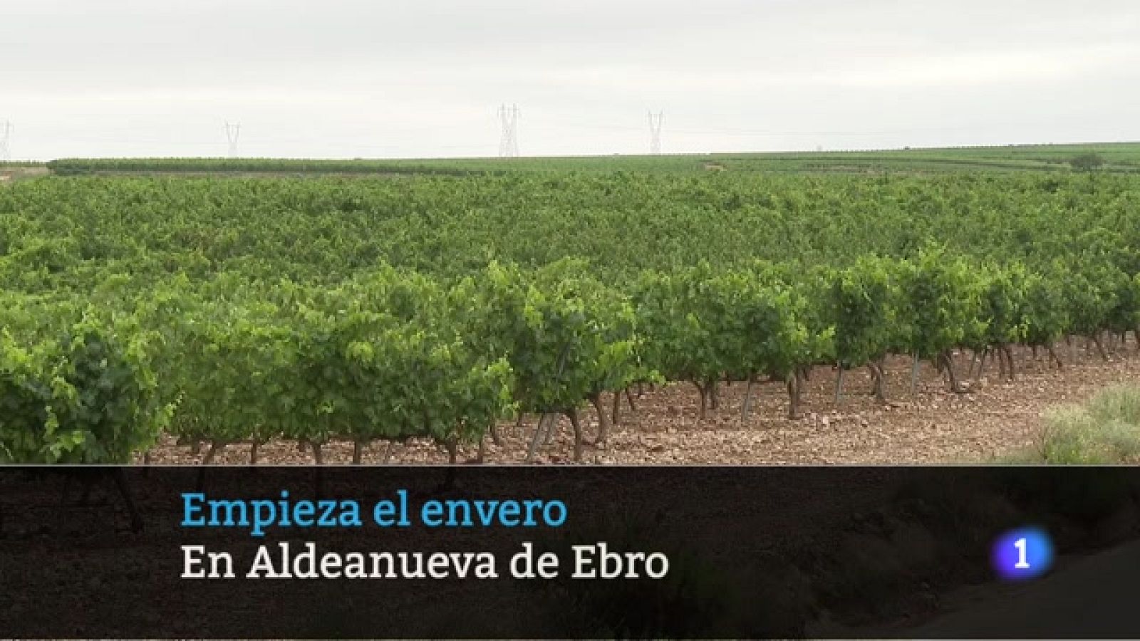 Telerioja en 2' - 06/07/23 - Ver ahora