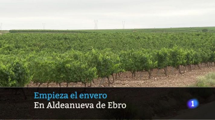 Informativo Telerioja - Telerioja en 2' - 06/07/23