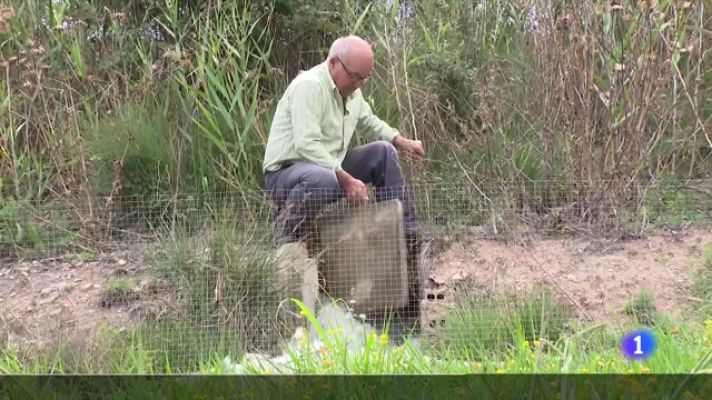 L'Informatiu - L'Informatiu 2 - 06/07/2023