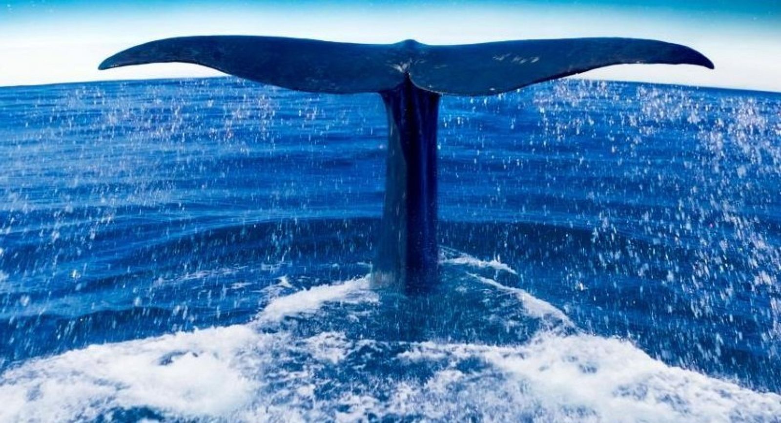 Días de CIne: Las guardianas del planeta. | Ver