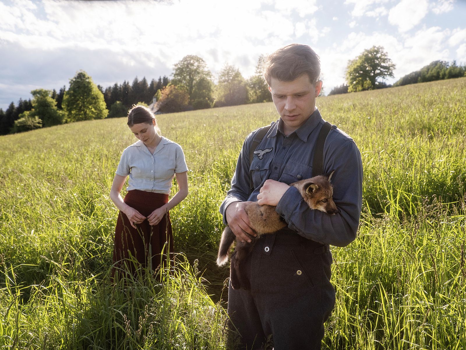 Días de Cine: El zorro. | Ver