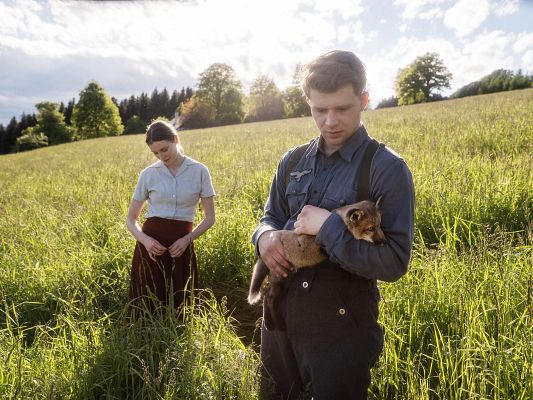 Días de cine - Días de Cine: El zorro.