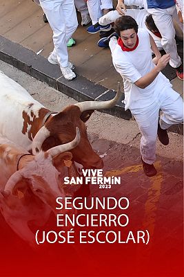 Segundo encierro de San Fermn 2023 con toros de Jos Escolar
