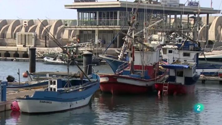 Telecanarias - Telecanarias 2 - 07/07/2023