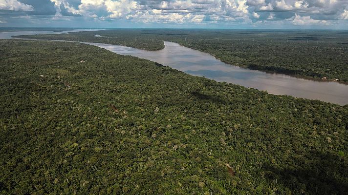 Telediario Fin de Semana - La minería y la ganadería ilegal impulsan la deforestación del Amazonas