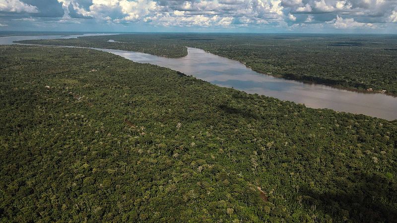 La minería impulsa la deforestación del Amazonas | Ver
