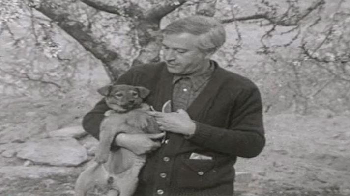 Tot Art - El panorama cultural de la ciutat de Lleida