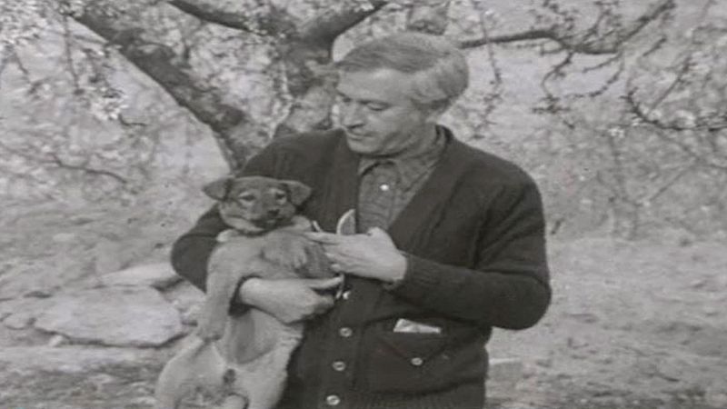 Arxiu TVE Catalunya - Tot art - El panorama cultural de la ciutat de Lleida
