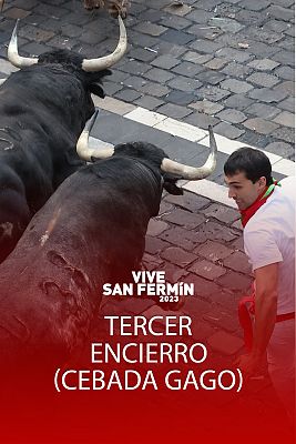 Tercer encierro de San Fermn 2023 con toros de Cebada Gago