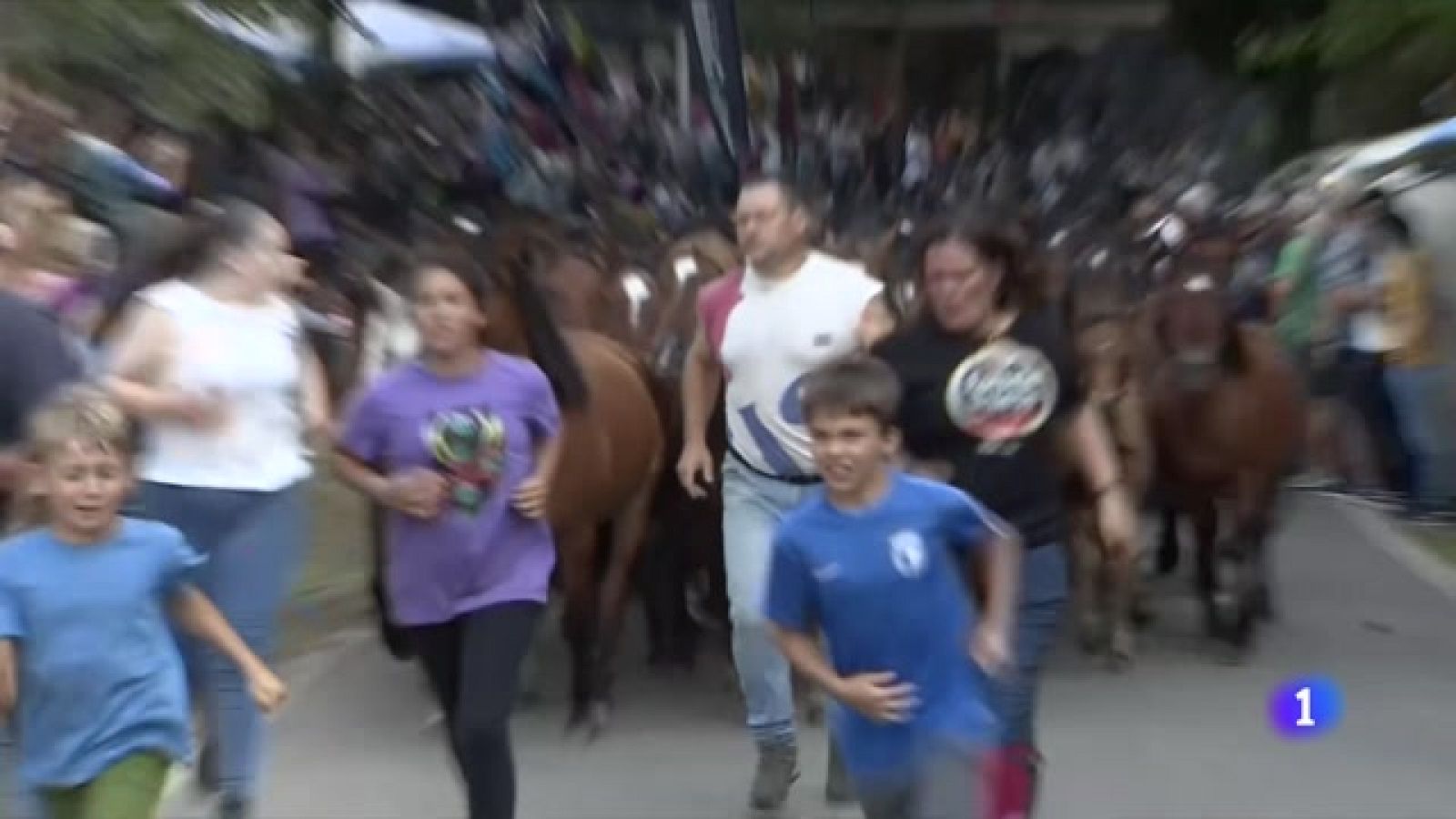 Miles de visitantes en La Rapa das bestas en Sabucedo, Pontevedra -Ver ahora
