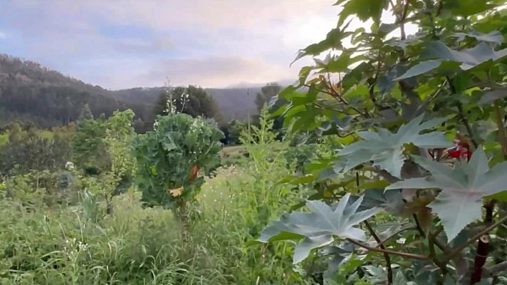 Emprende - Emprende - 10/07/23